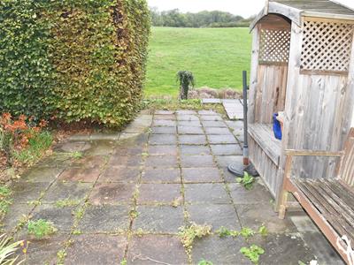 Picture 21